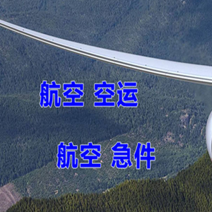 百色巴马航空运输快递-选东方航空和上海航空