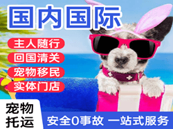 百色巴马航空运输国际宠物托运 【国